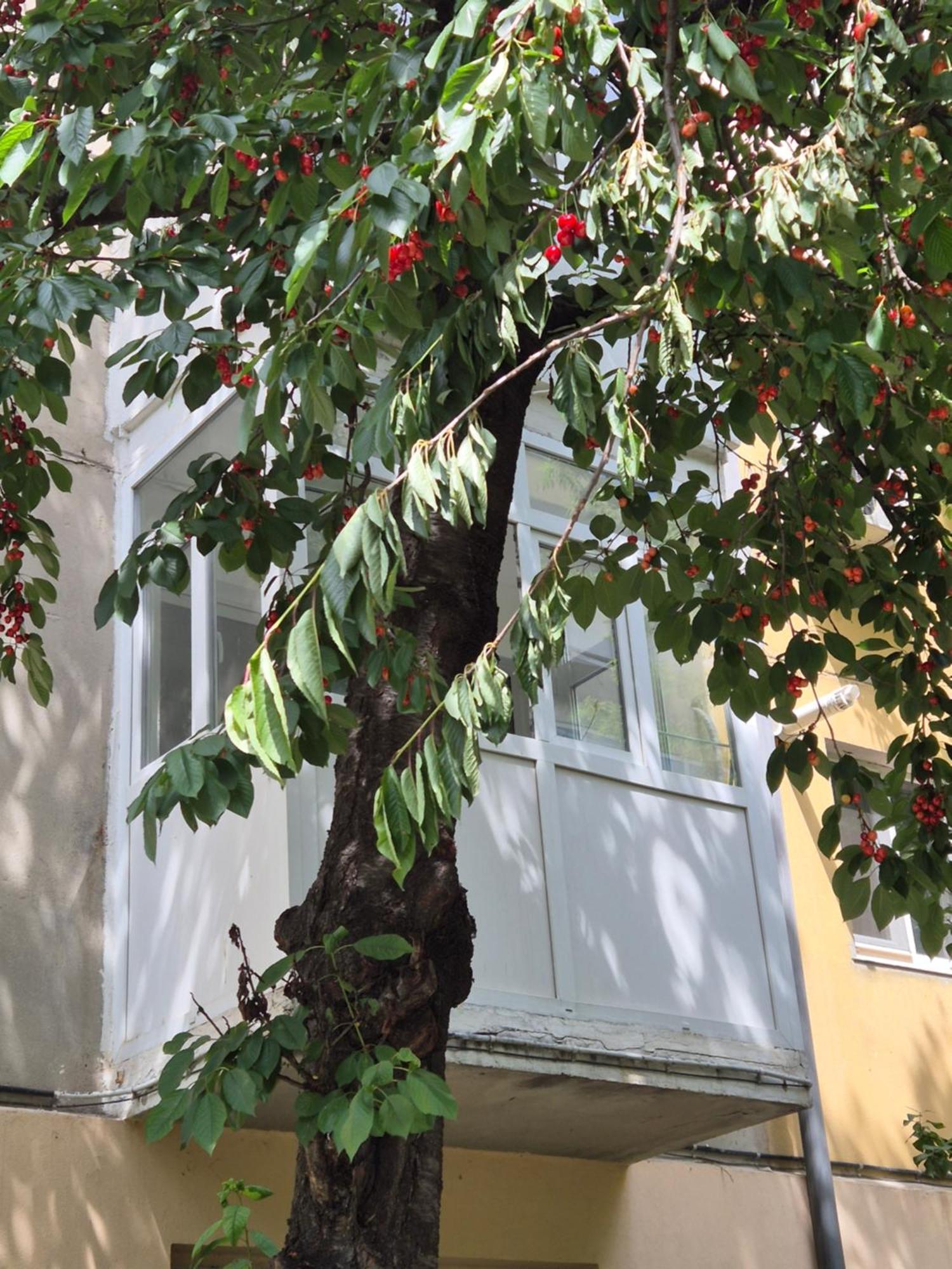 Apartament Rovine Craiova Eksteriør bilde
